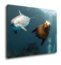 Load image into Gallery viewer, Gallery Wrapped Canvas, Dolphin And Sea Lion Underwater Close Up