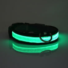 Load image into Gallery viewer, Pet Supplies LED Pet Cat Dog Collar Luminous Safety Glow Necklace Flashing Lighting Up Collars For puppy Small Dog