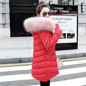 womens winter jackets and coats 2019 Parkas for women 4 Colors Wadded Jackets warm Outwear With a Hood Large Faux Fur Collar